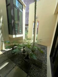 Frankel Estate (D15), Detached #496126771